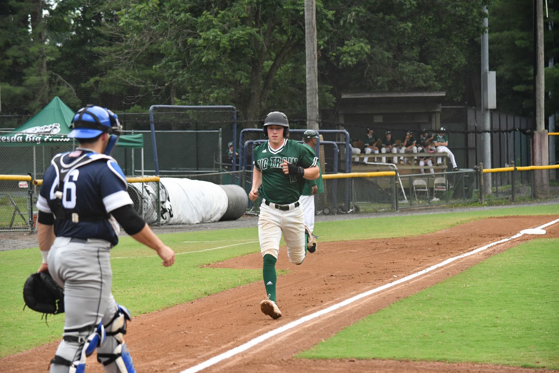 The Official Site of Bethesda Big Train Summer Collegiate Baseball: News